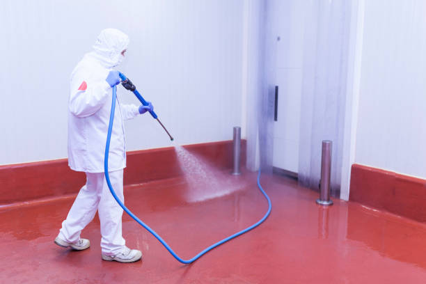 Reliable Eldersburg, MD Pressure Washing Services Solutions